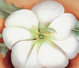 Georgia O'Keeffe White flower on Red Earth No. 1 painting
